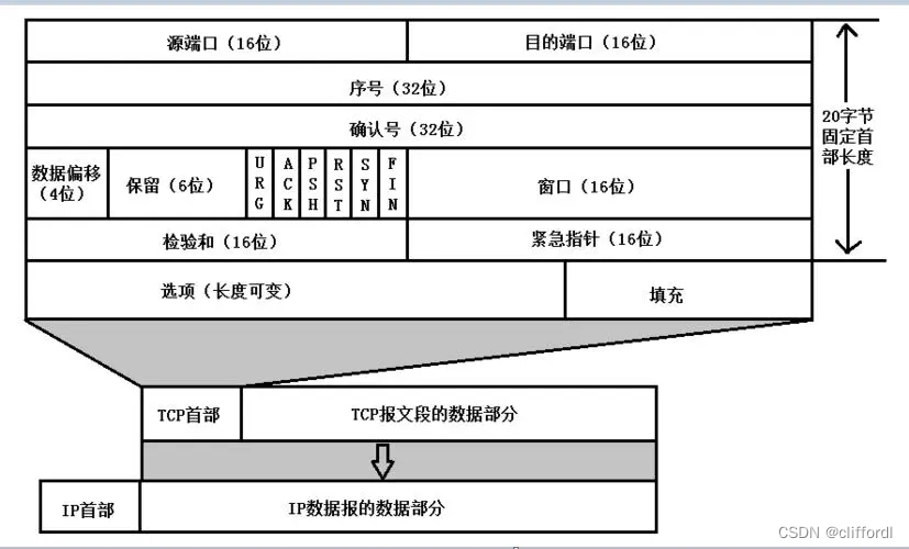 TCP报文格式